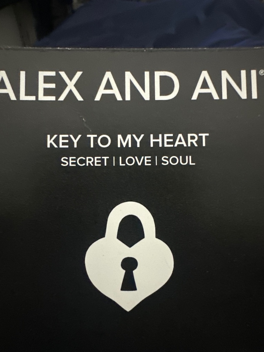 ALEX AND ANI BRACELET